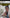 Video alt text